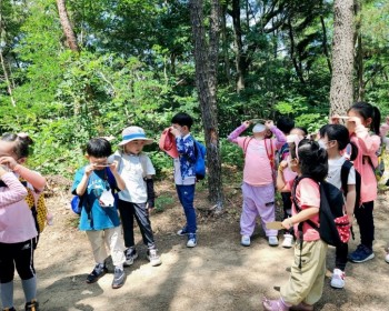 하늘거울 보기