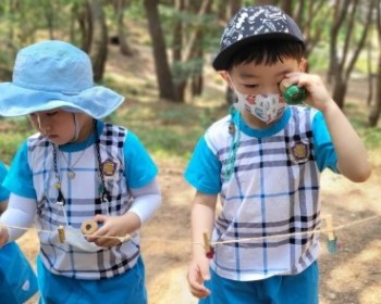 곤충의 눈으로 세상을 보아요