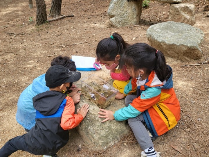 c93ccca17dac3177afab011677f0b37f.jpg