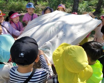 도토리