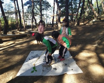 도토리를 굴려라