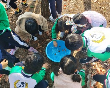 단풍으로 겨울나무 옷 입혀주기