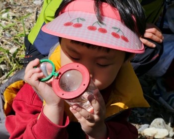 어떻게 싹이 나요?
