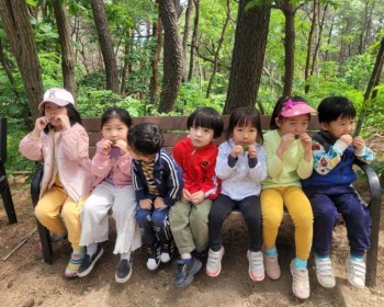 아까시 나무야 나랑 놀자