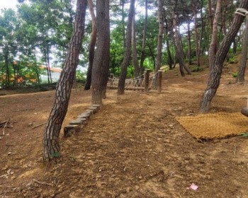 솔바람 유아 숲  보수 공사 완료
