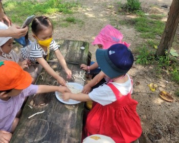 숲 속 청소부 버섯