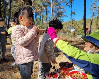 우리들의 가을 숲축제