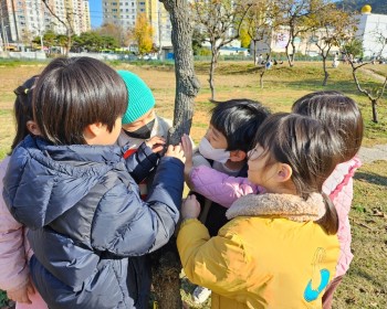11월 나무야  안녕~ 내년에 더 멋지게 만나자!