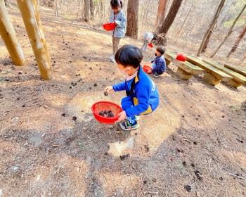 날아라~ 솔방울