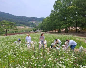 6월 화랑이랑 놀아요!