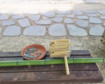 6월 통통통 대나무