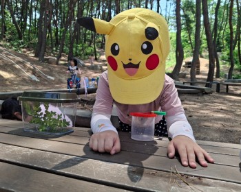 7월 숲속 거미 친구