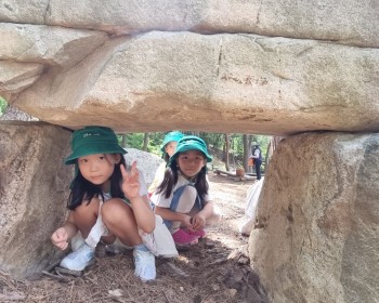 매미야 날아라!