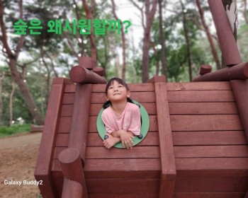 8월  숲속의 시원한 비밀을 찾아라!