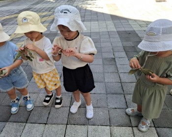 9월 도토리의 꿈!