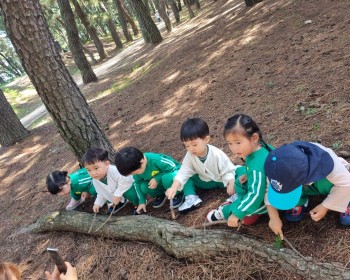 9월 도토리의 꿈!