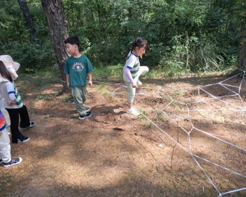 9월 거미와 도토리