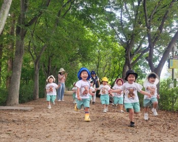 9월 숲 속 마을 버섯 요정