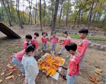 11월 고운 단풍과 열매 그리고 씨앗