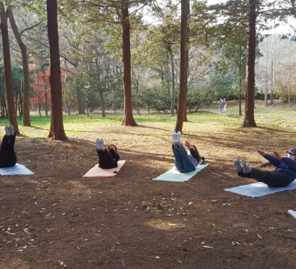 노세 노세 숲에서 노세 이미지