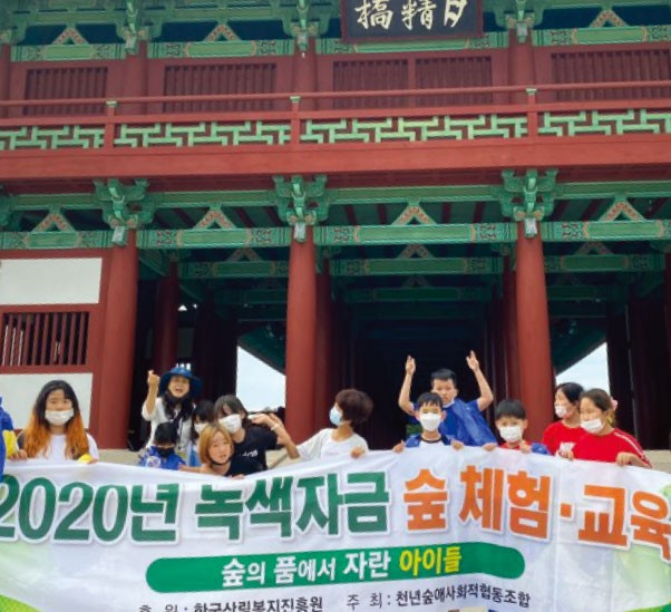숲의 품에서 자란 아이들 이미지