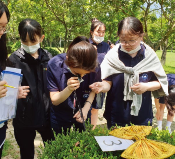 청소년 숲 해설 부문 이미지