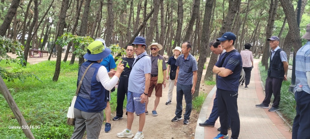 포항송도솔밭-2배로 즐기기 이미지