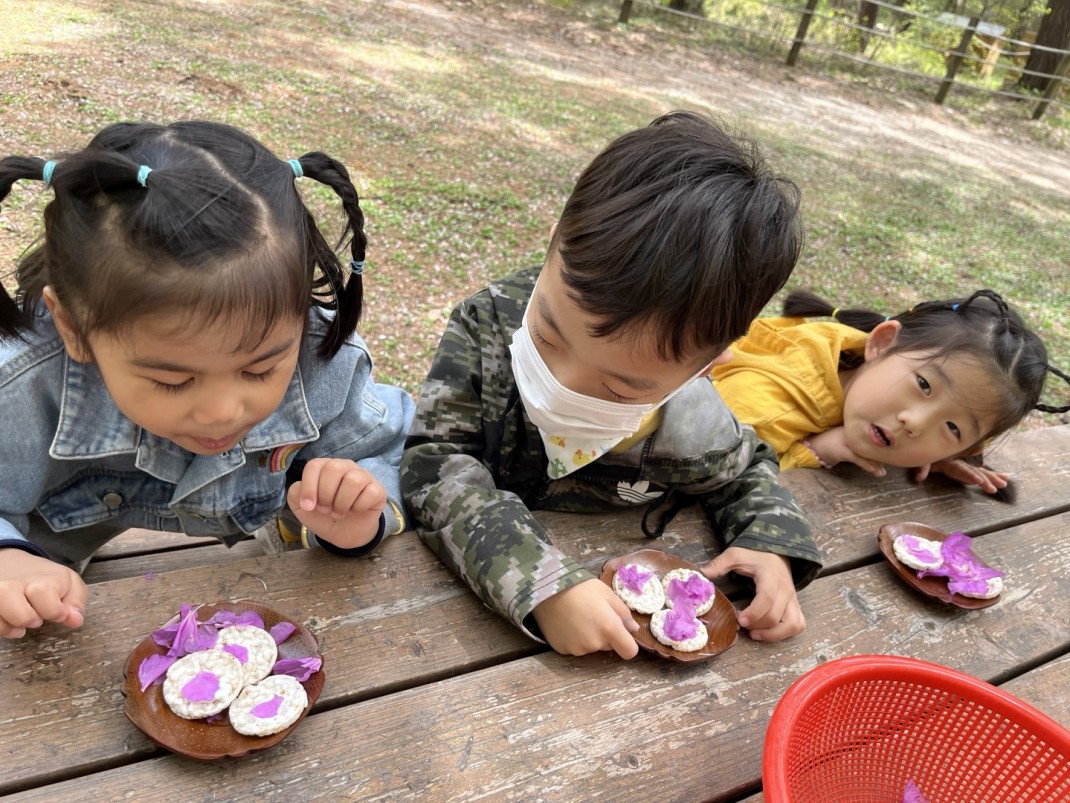 진달래 과자와 꽃차 마시기~ 이미지