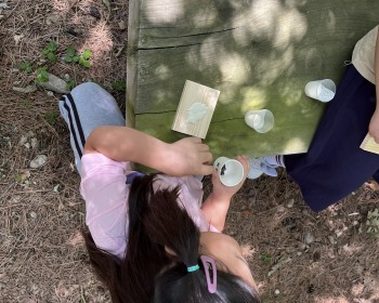 7월 새똥과 물고기와 돌맹이놀이