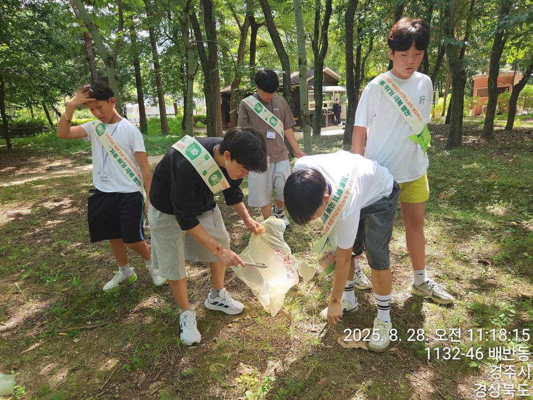 우리땅 우리나무 찾아보GO 알아보GO 사랑하GO~~ GO GO GO 이미지