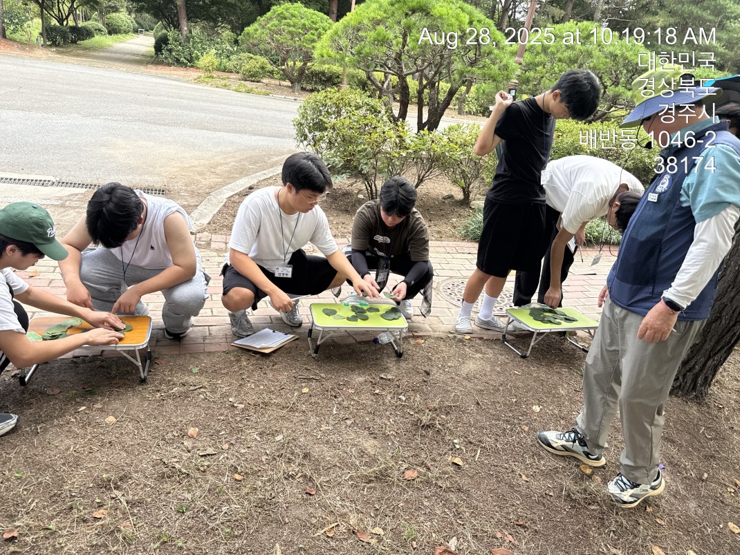 우리땅 우리나무 찾아보GO 알아보GO 사랑하GO~~ GO GO GO 이미지