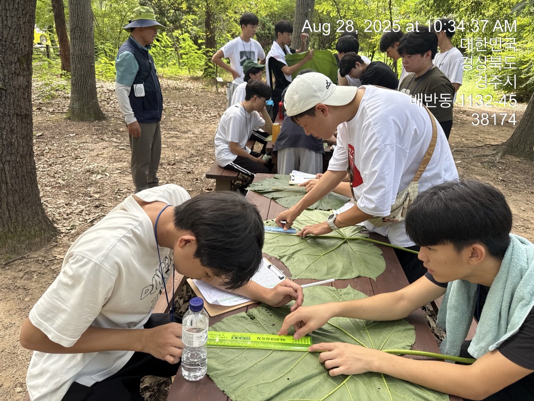 우리땅 우리나무 찾아보GO 알아보GO 사랑하GO~~ GO GO GO 이미지