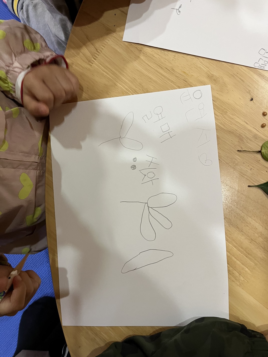 열매와 씨앗~ 이미지