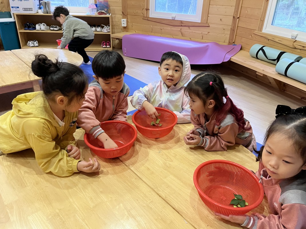 열매와 씨앗~ 이미지