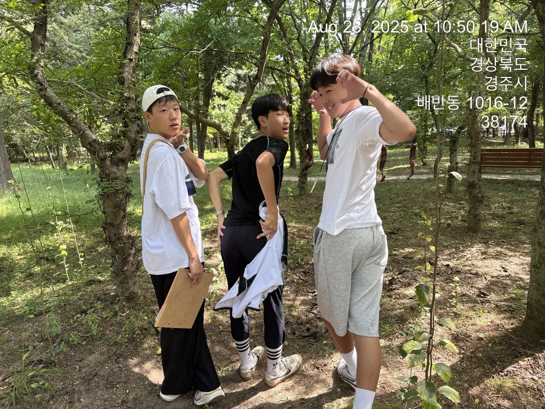 우리땅 우리나무 찾아보GO 알아보GO 사랑하GO~~ GO GO GO 이미지