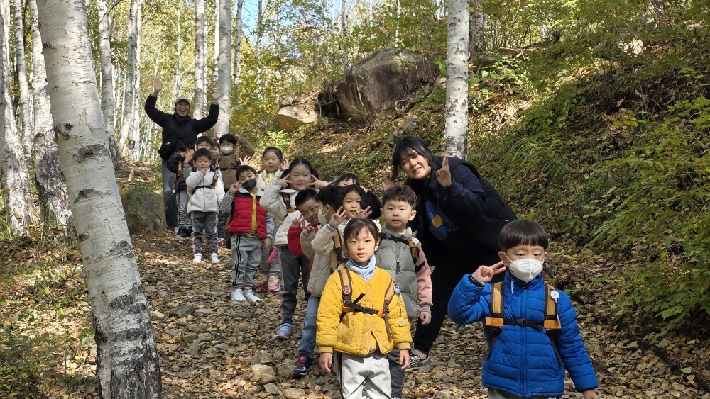 자작나무숲에서 놀았어요 이미지