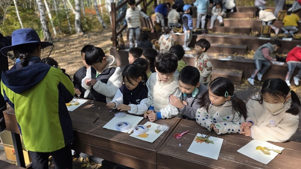자작나무숲에서 놀았어요 이미지
