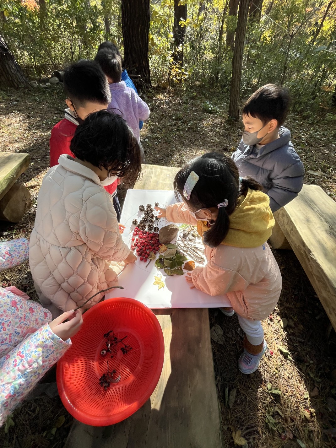 열매와 단풍으로 만든 피자 드세요~ 이미지