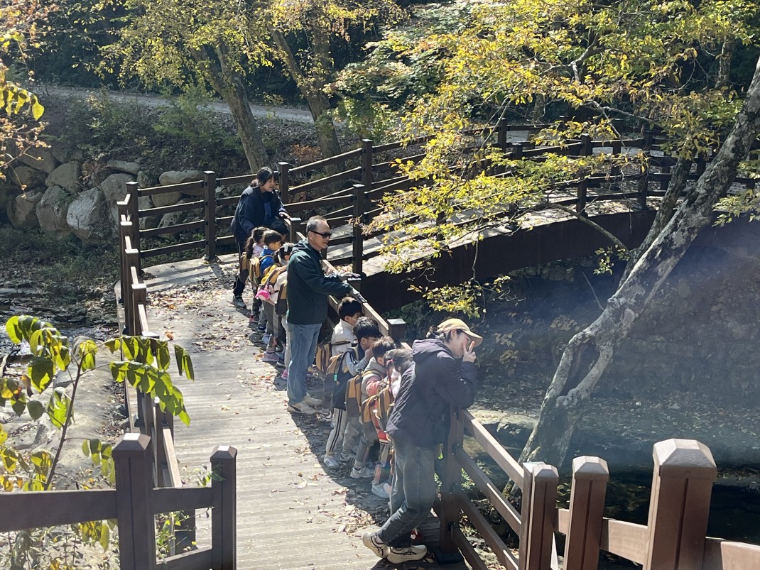 자작나무숲에서 놀았어요 이미지