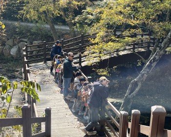 자작나무숲에서 놀았어요