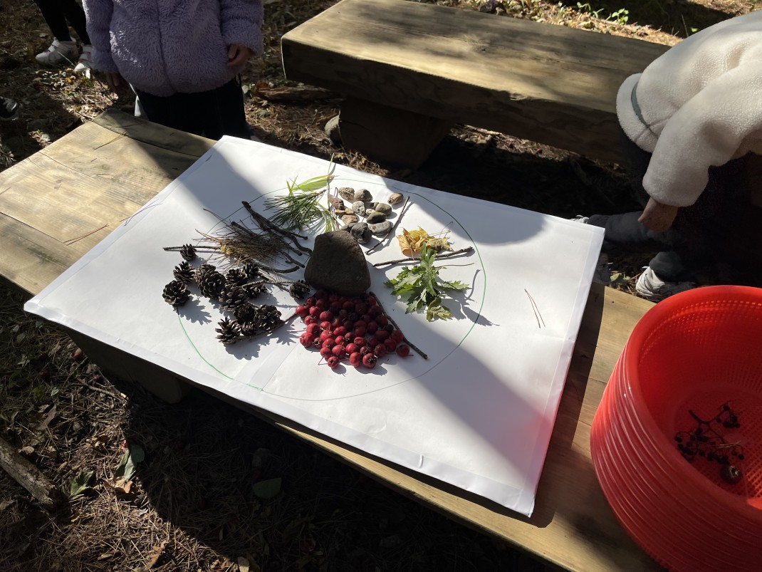 열매와 단풍으로 만든 피자 드세요~ 이미지